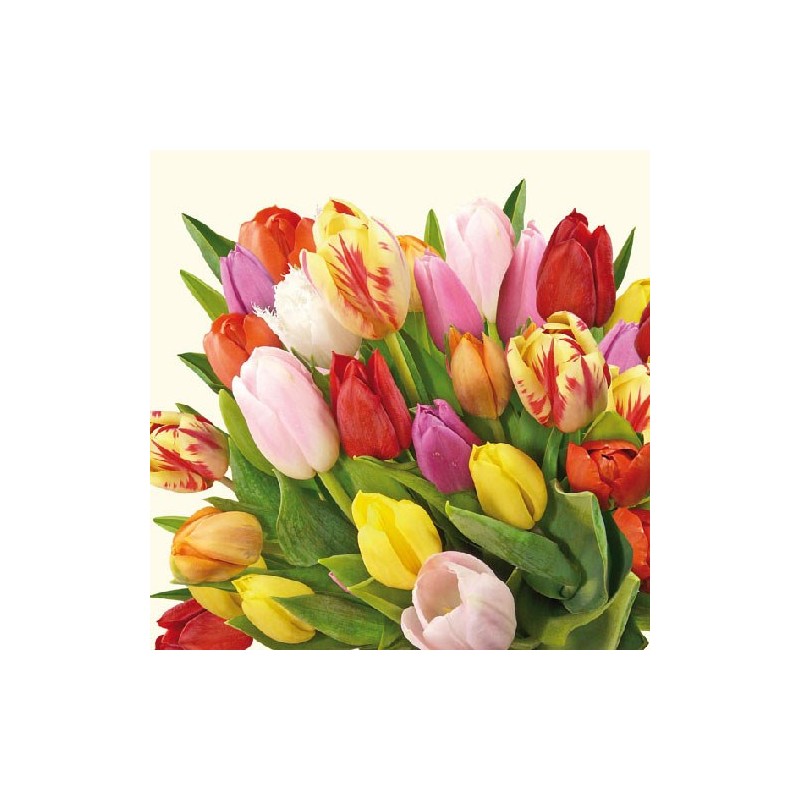Colourful Tulips Napkins