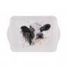 Bree Merryn Clover Cow Small Tray