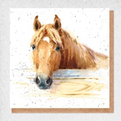 Horse Blank Greeting Card & Envelope by Alljoy
