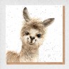 Cute Alpaca Blank Greeting Card & Envelope by Alljoy