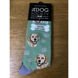 Golden Labrador Green Socks