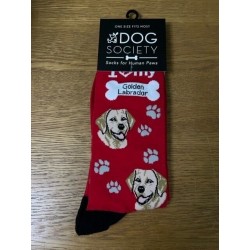 Golden Labrador Red Socks