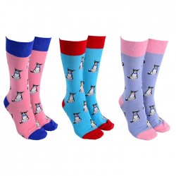 Sock Society Cats Blue Socks