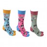 Sock Society Border Collie Blue Socks