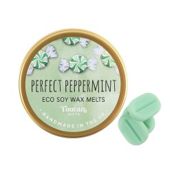 Mini Wax Melts in a Tin - Peppermint