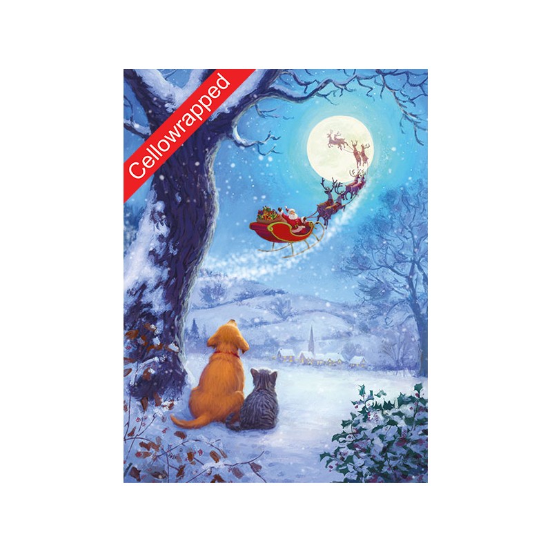 Help Charity Christmas Card pack of 8 Watch Out