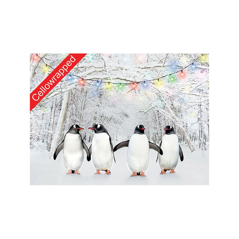 Help Charity Christmas Card pack of 8 Penguins on Ice