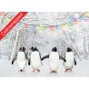 Help Charity Christmas Card pack of 8 Penguins on Ice
