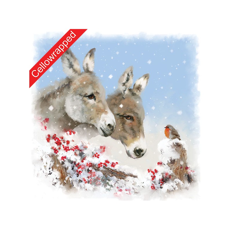 Help Charity Christmas Card pack of 8 Donkeys and Robin