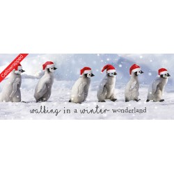 Help Charity Christmas Card pack of 8 Walking Penguins
