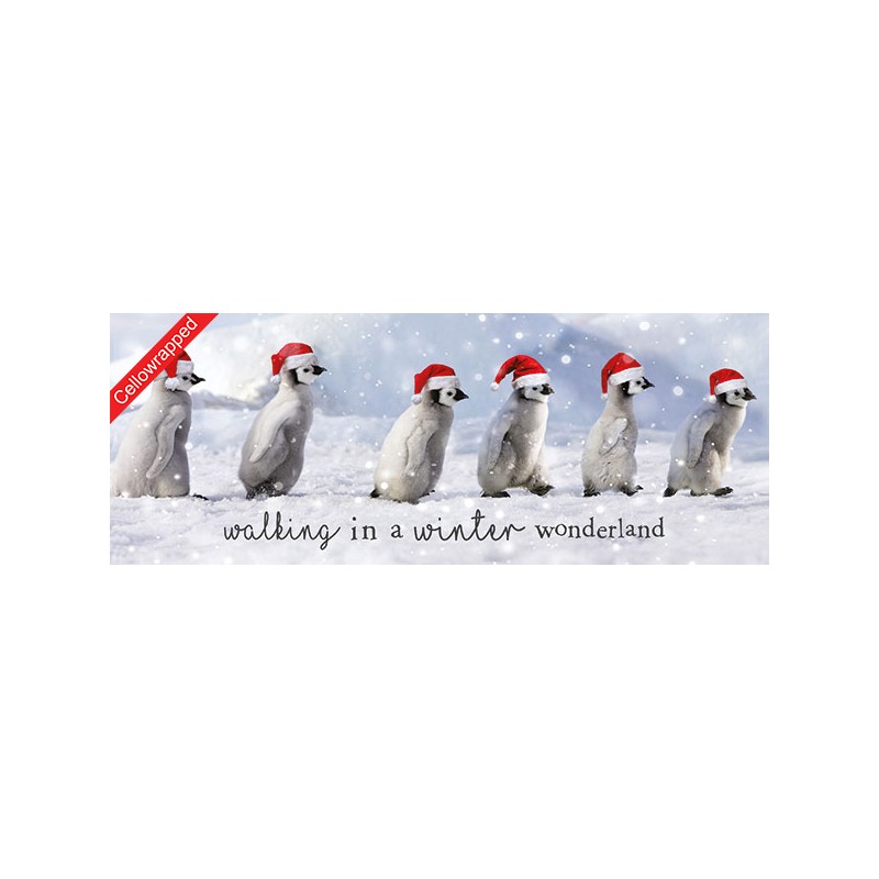 Help Charity Christmas Card pack of 8 Walking Penguins