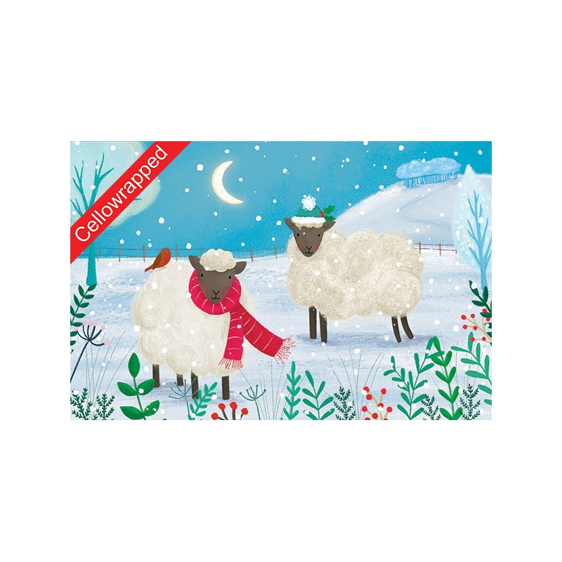 Help Charity Christmas Card pack of 8 Snowy Sheep