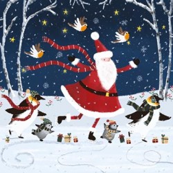 Noel Tatt Christmas Card pack of 12 Santa and Penguins