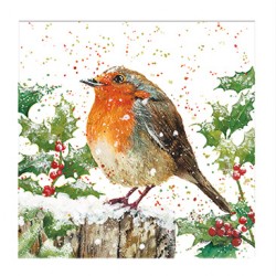 Bree Merryn Christmas Card - Rhyss Robin