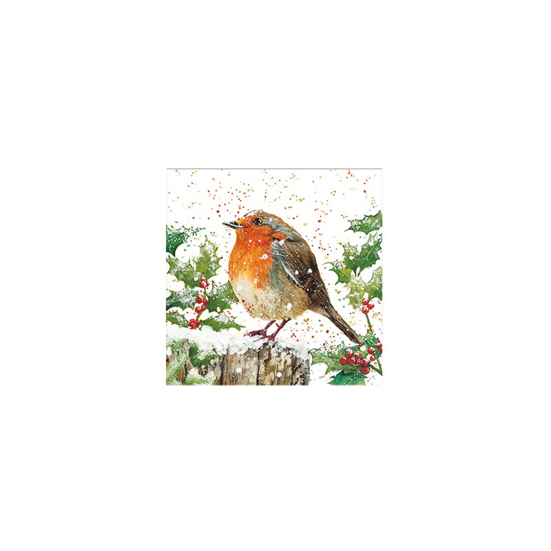 Bree Merryn Christmas Card - Rhyss Robin