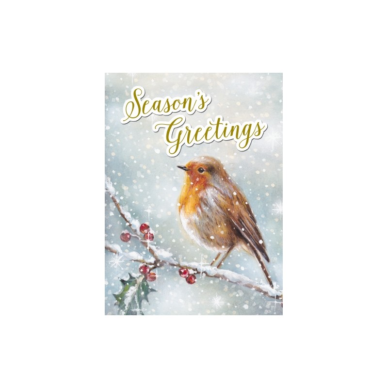 Decoupage Christmas Robin Greeting Card