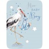 Baby Boy Stork Card