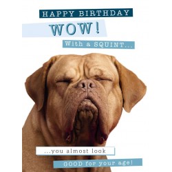 Noel Tatt Picture This Birthday Card WOW!