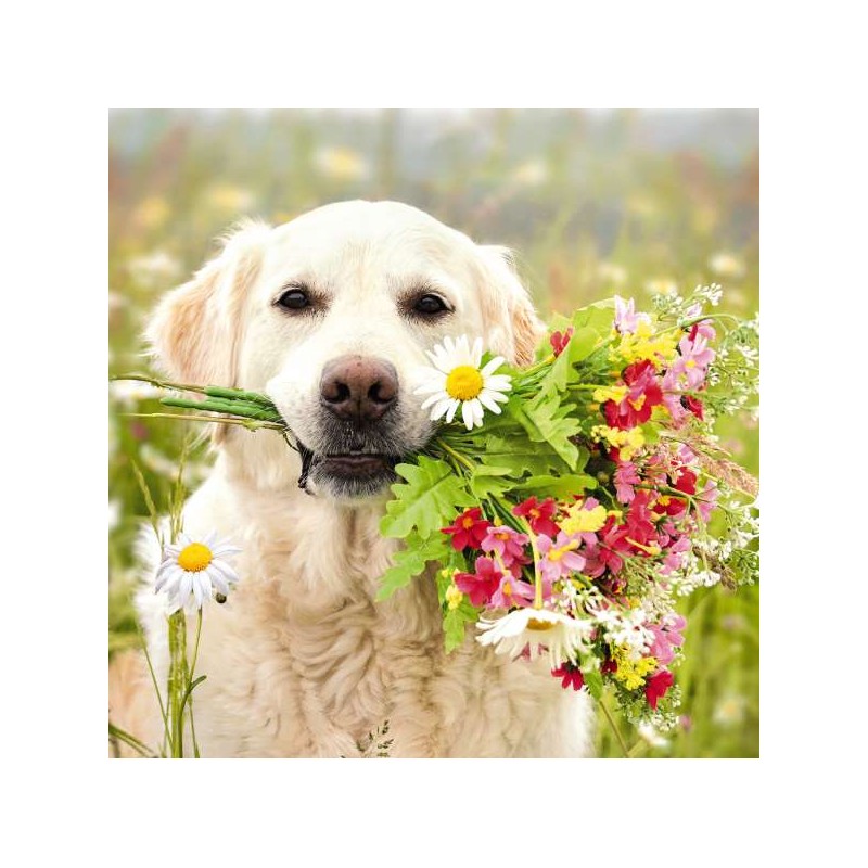 Cube Blank Greeting Card Thanks a Bunch