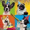 Cube Blank Greeting Card Party Pups