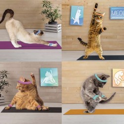 Cube Blank Greeting Card...