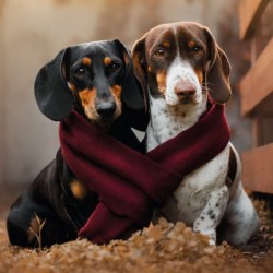 Cube Blank Greeting Card...