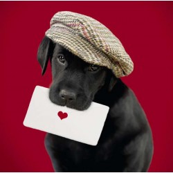 Cube Blank Greeting Card...