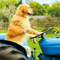 Cube Blank Greeting Card...