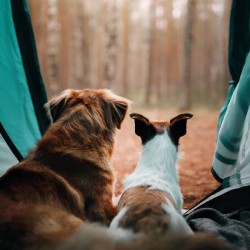 Cube Blank Greeting Card...