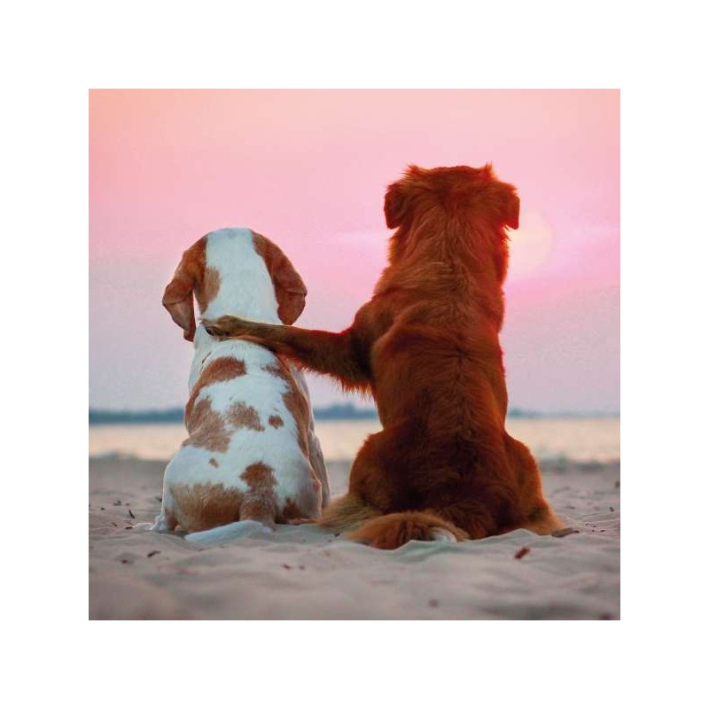 Cube Blank Greeting Card Right by Your Side