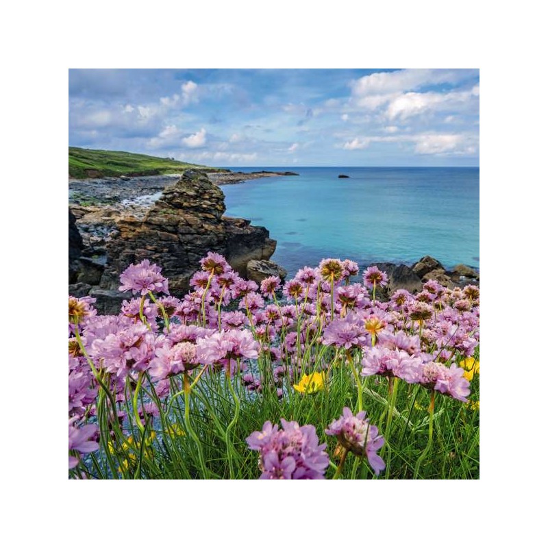 Cube Blank Greeting Card Our Glorious Coastline