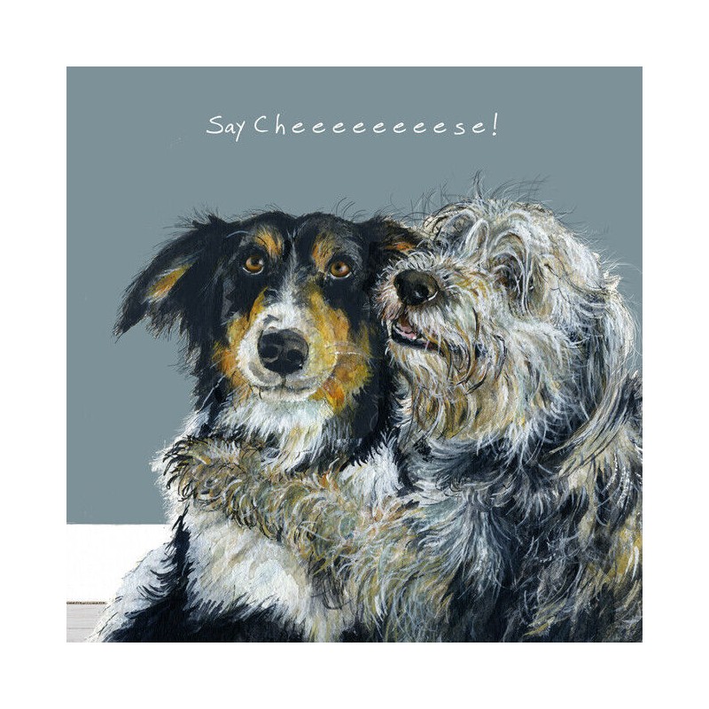 Say  Cheese - Digs and Manor Little Dog Company Card