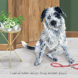 Indoor Delays- Digs and...