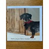 Dash - Digs and Manor Little Dog Company Card