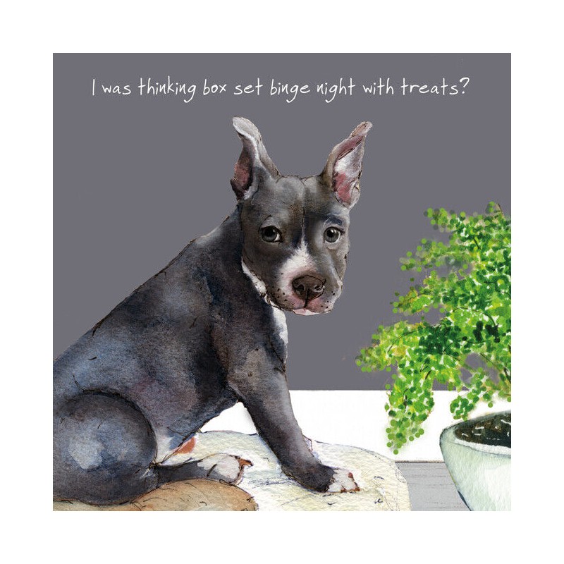 Boxset- Digs and Manor Little Dog Company Card