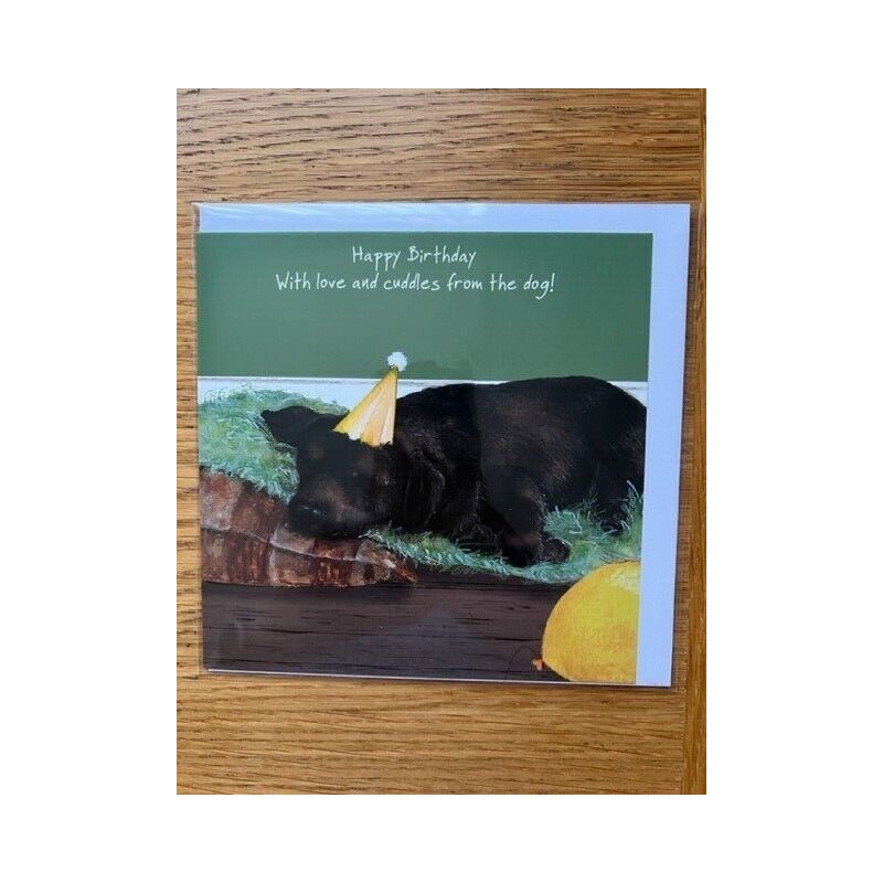 Happy Birthday Lab - Digs & Manor Little Dog Company Card