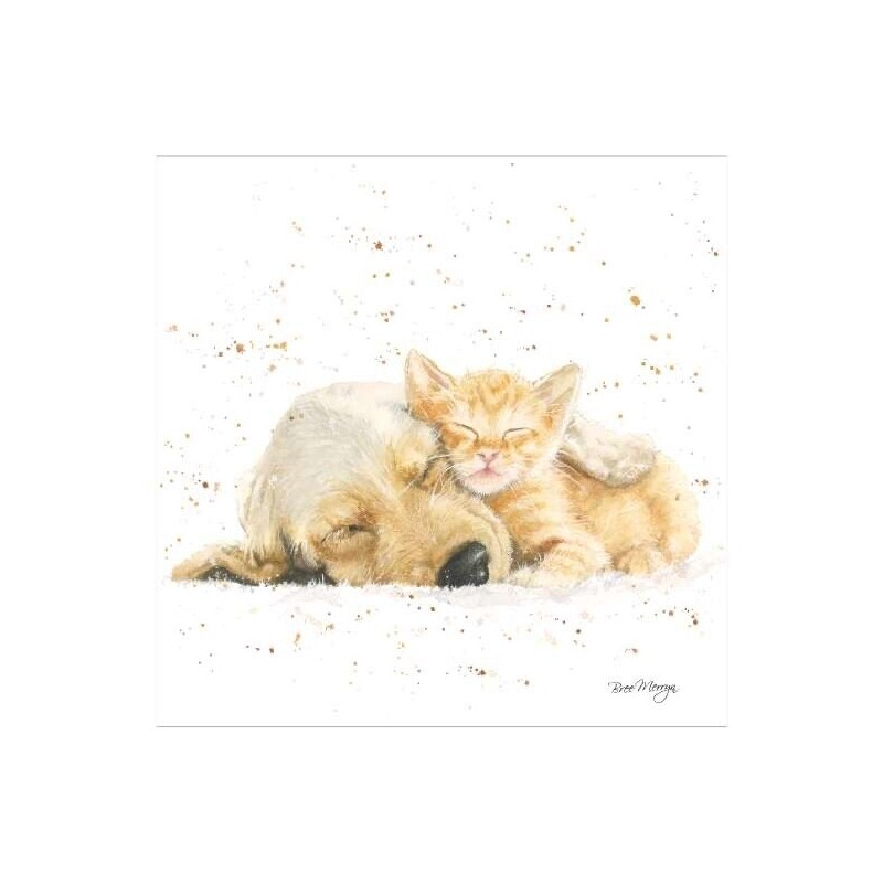 Bree Merryn Blank Greeting Card Fred & Ginger