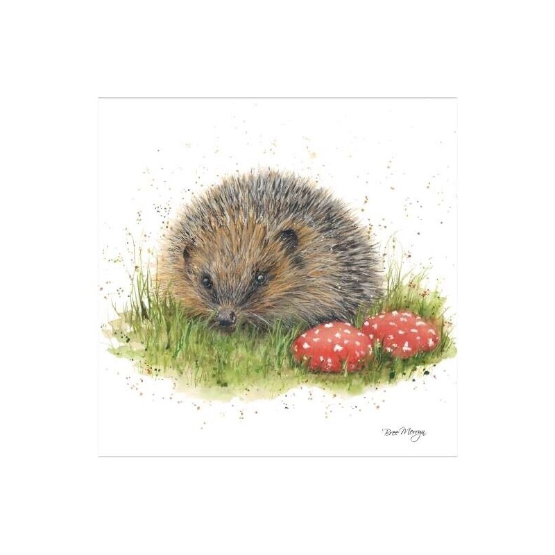 Bree Merryn Blank Greeting Card Henrietta Hedgehog