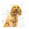 Bree Merryn Blank Greeting Card Carter Cockapoo