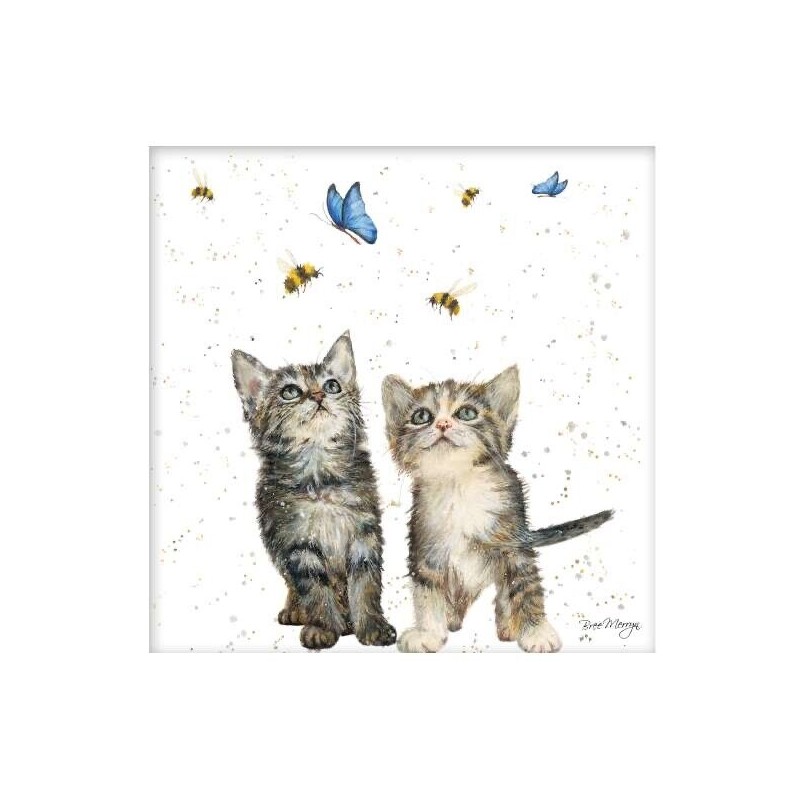 Bree Merryn Blank Greeting Card Sugar & Spice Kittens