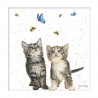 Bree Merryn Blank Greeting Card Sugar & Spice Kittens
