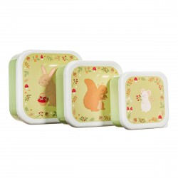 Garden Friends set of 3 Lunch Boxes