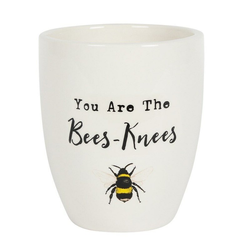 You are the Bees Knees Ceramic Small Plant Pot