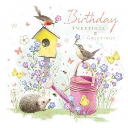 Hedgehog and Birds Birthday Greeting Card