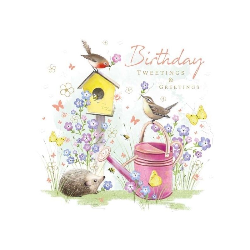 Hedgehog and Birds Birthday Greeting Card