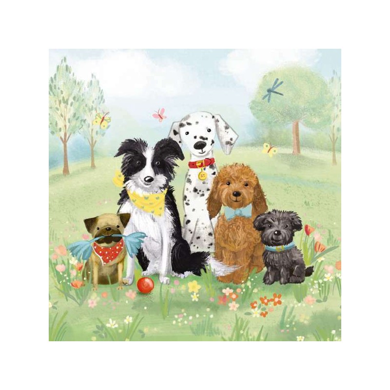 Dogs in Park Blank Greeting Card