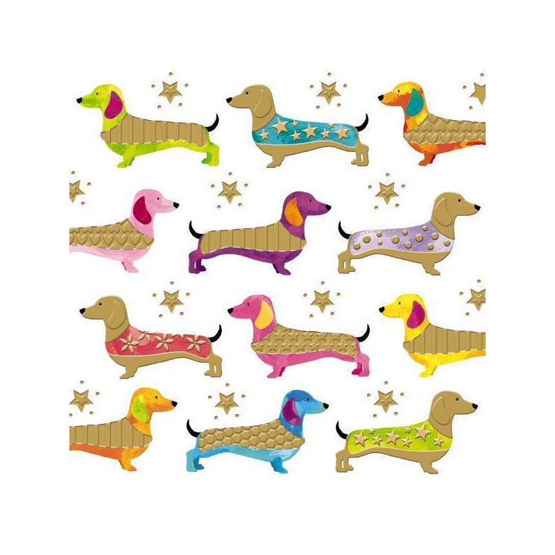 Colourful Dachshunds Blank Greeting Card