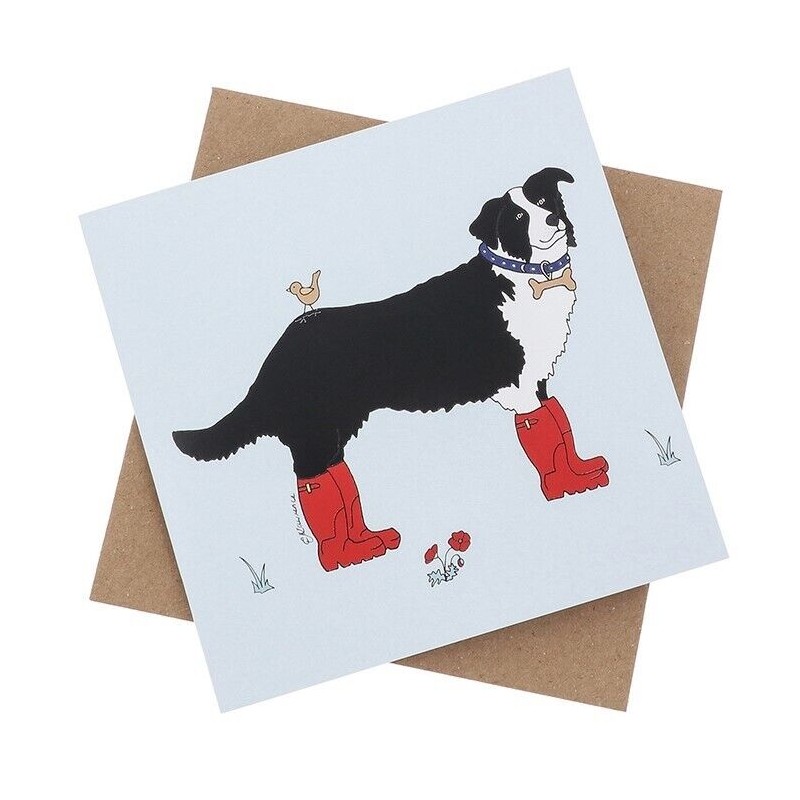 Emma Lawrence Blank Greeting Card Clever Collie