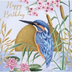 Kingfisher Birthday...