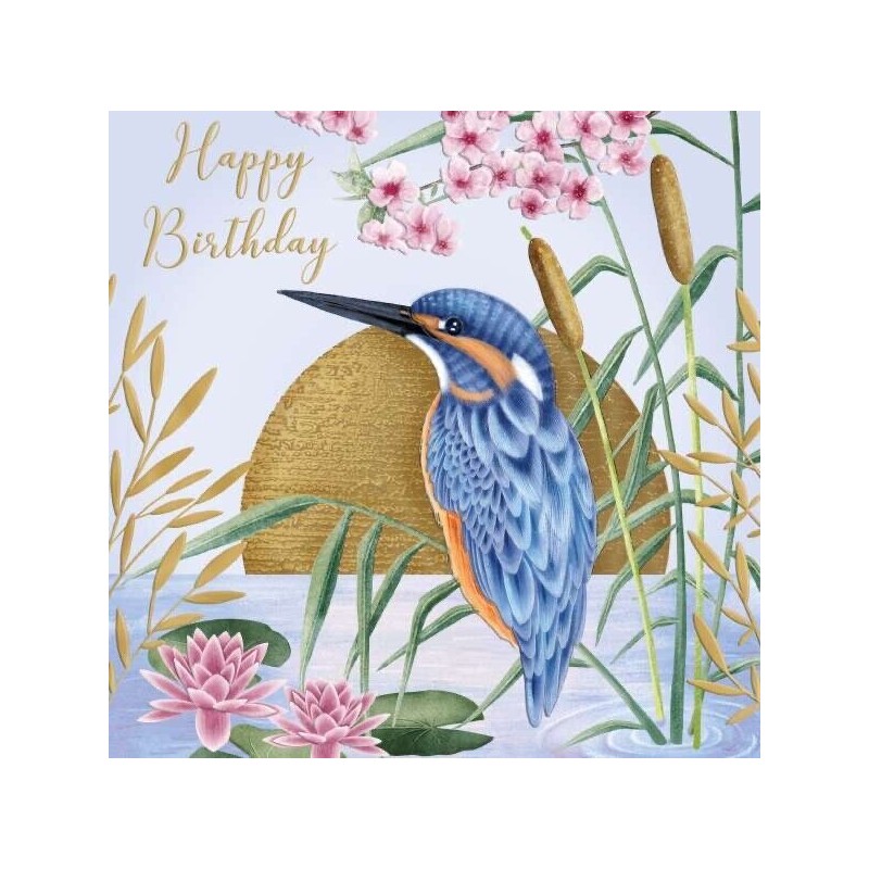 Kingfisher Birthday Greeting Card